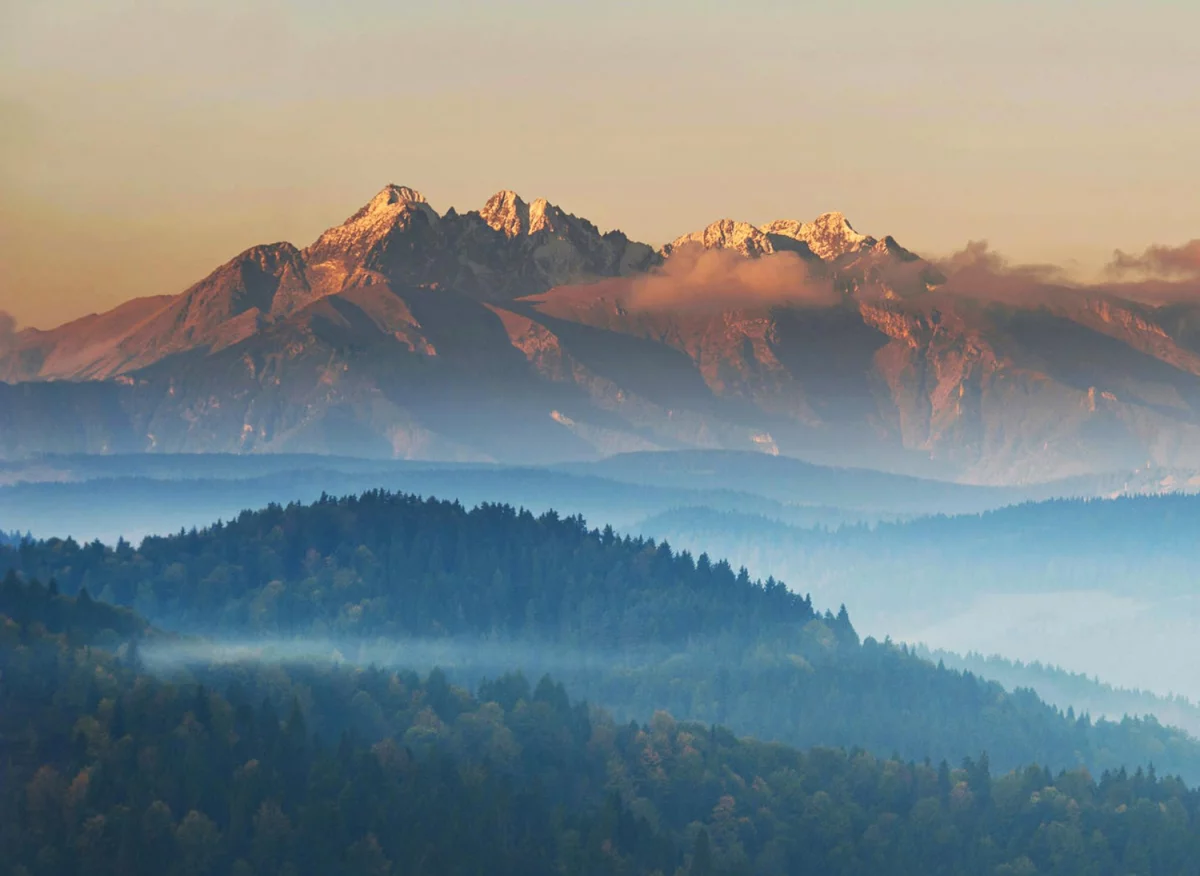 Hvem bør kjøpe møbler til hjemmekontor?