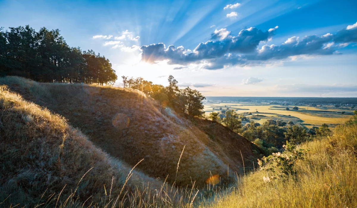 Odnawianie mebli kuchennych krok po kroku: tanie metody na odświeżenie frontów, blatów i uchwytów (poradnik DIY)