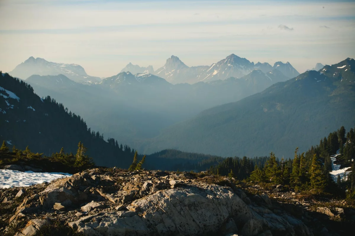 odnowić dom jak mistrz!