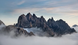 Czy 2024 będzie dobry dla ogób które chcą wyposażyć dom?