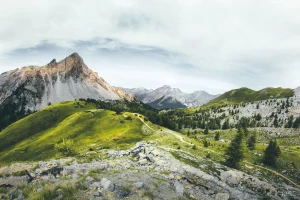 Czy ktoś wie jak kupić wyposażenie domu?