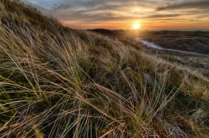 Czy lepiej reklamować w dzień czy w nocy?